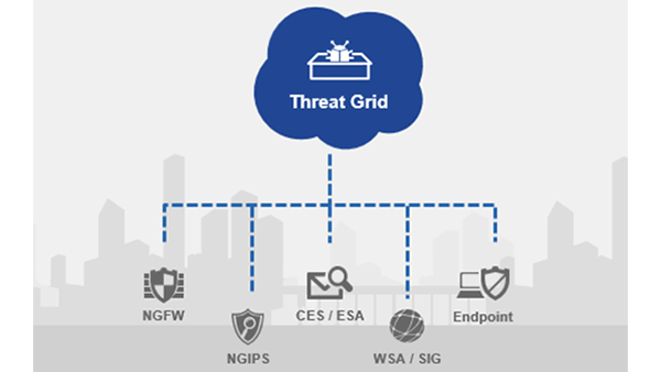 Cisco amp online